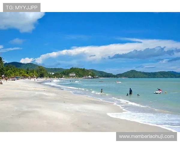 海岛老虎机官网首页入口带你进入一个充满热带风情与精彩游戏的虚拟海岛世界